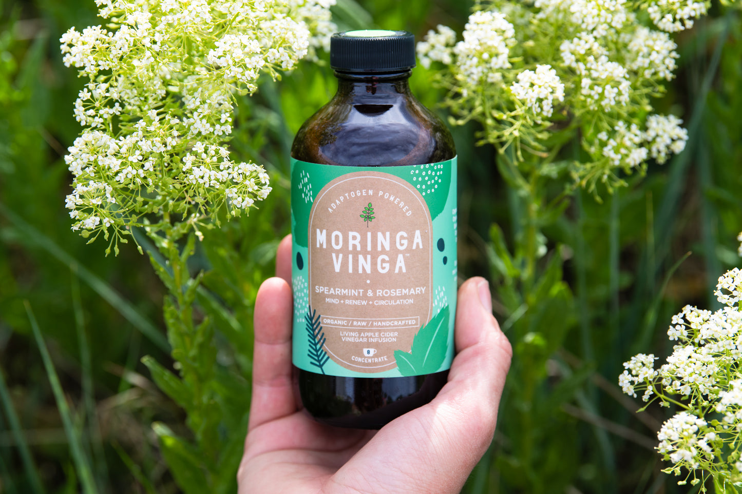 Best Moringa Adaptogen Drink