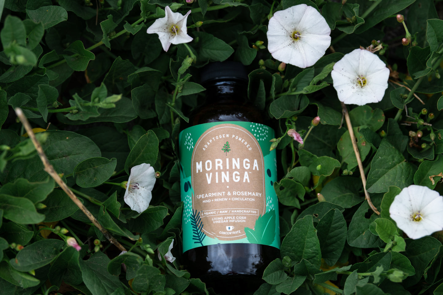 Supplement for Mind and Body