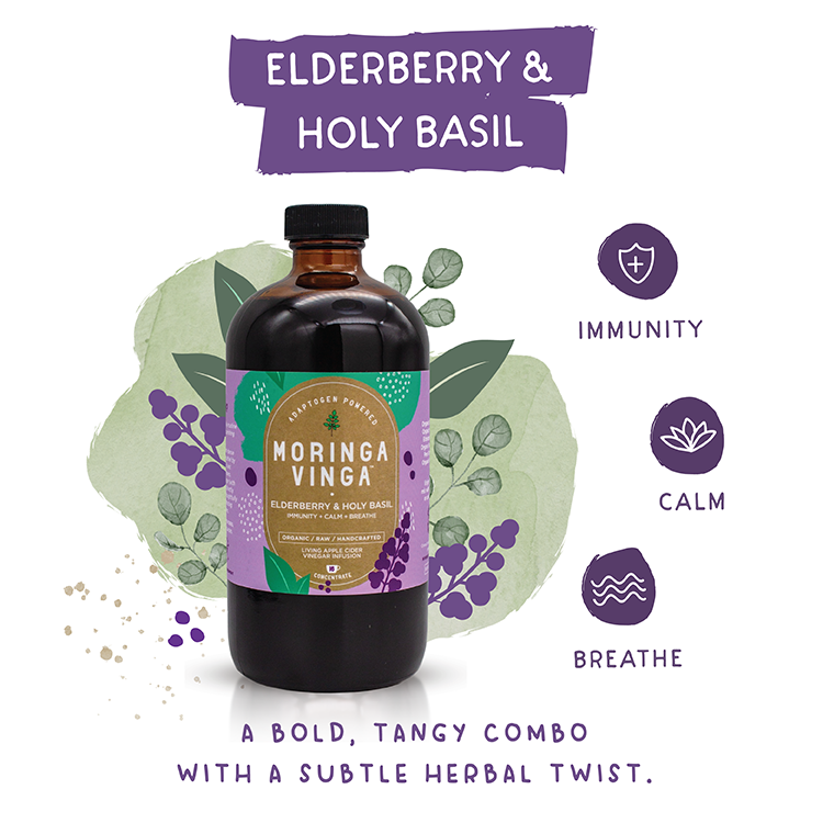Elderberry and Holy Basil Benefits