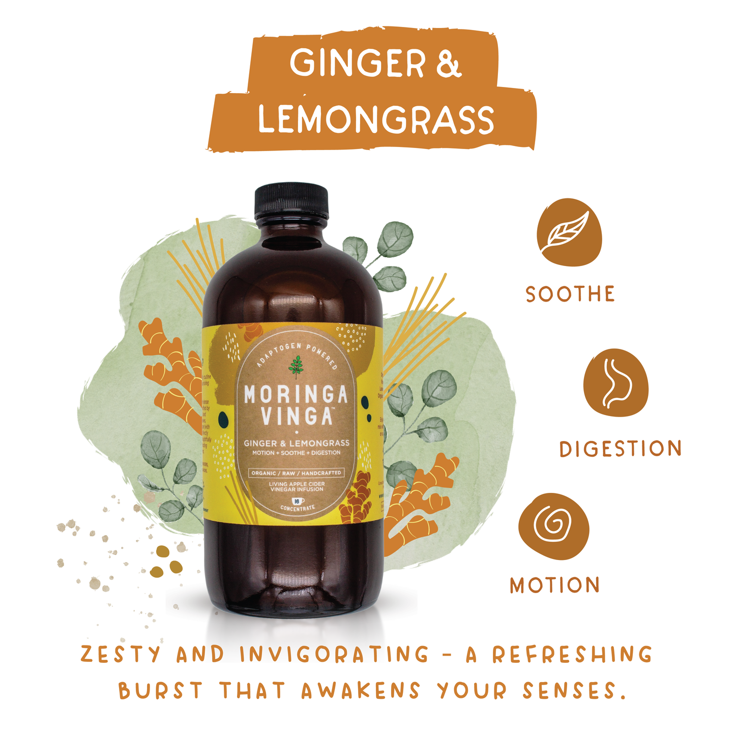 Benefits of Ginger, Lemongrass and Moringa