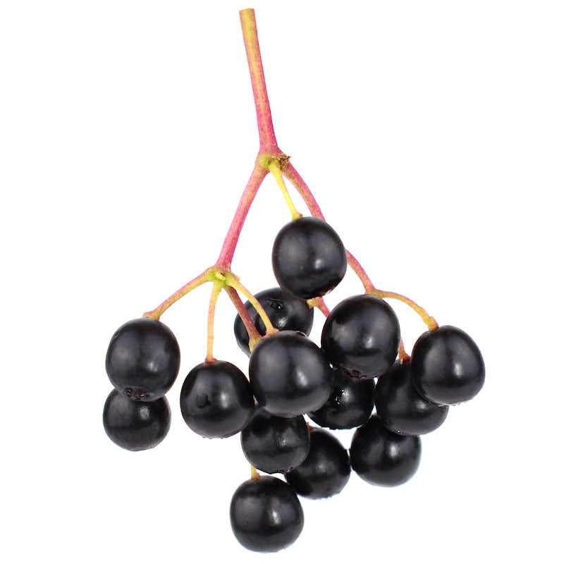Organic Elderberries