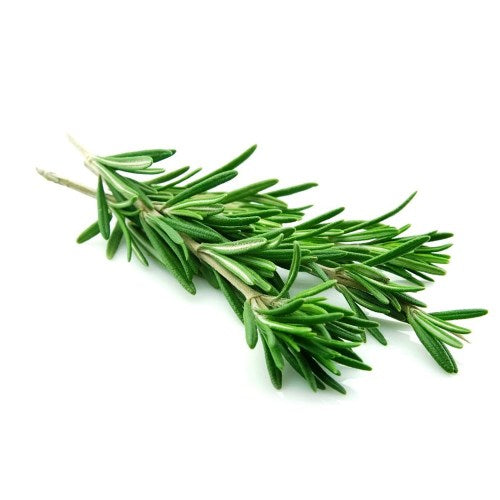 Organic Rosemary