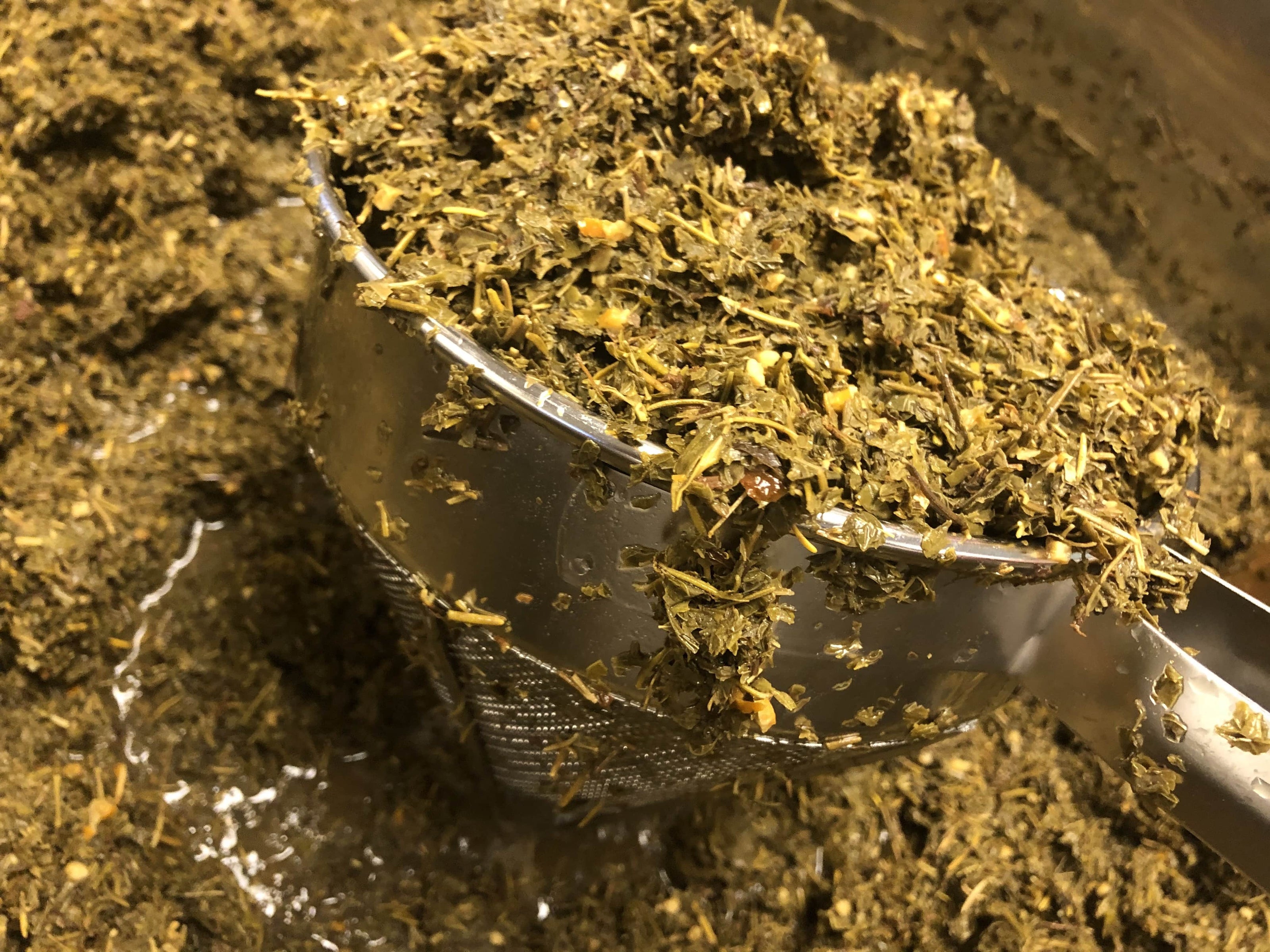 Making of Moringa Vinga