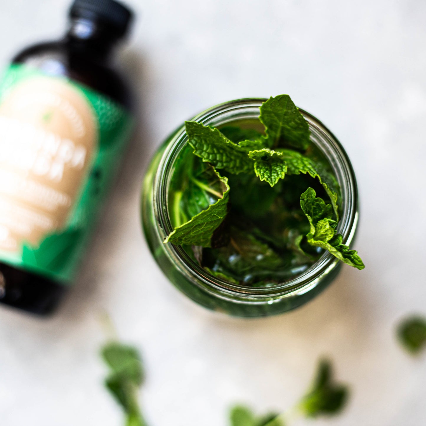 Spearmint leaves in Moringa Vinga