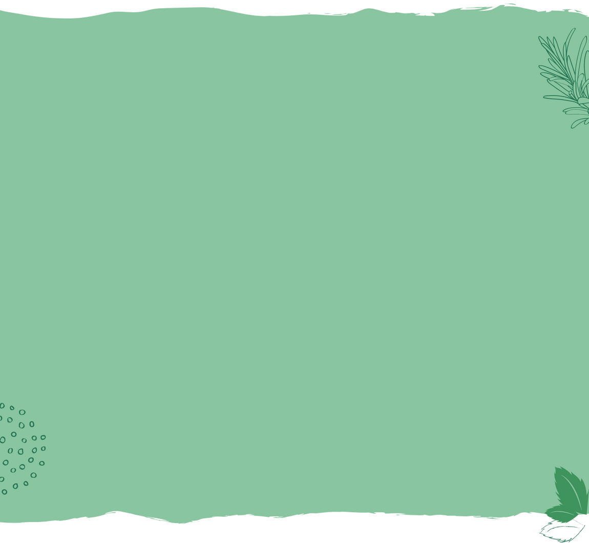 background with moringa leaves