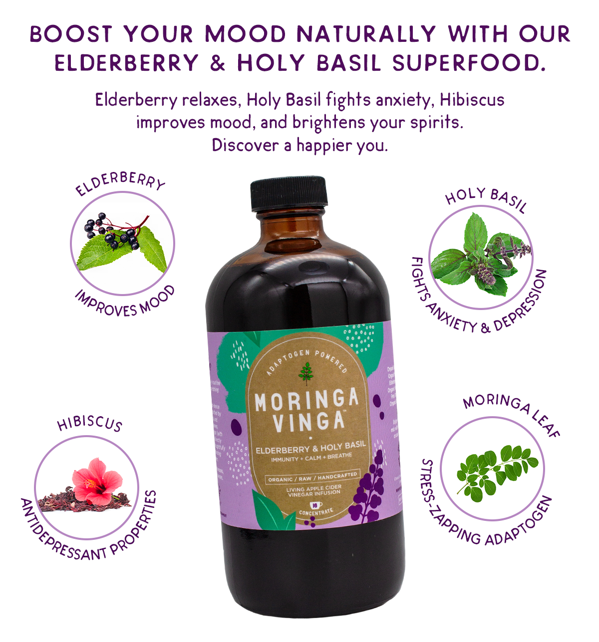 Elderberry & Holy Basil IMMUNITY + CALM + BREATHE